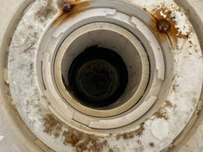 Replacement Garbage Disposal